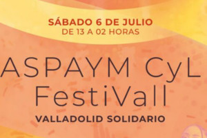 Festival solidario