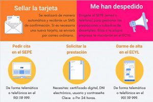 Infografía relacionada con el empleo con la información disponible en el boletín