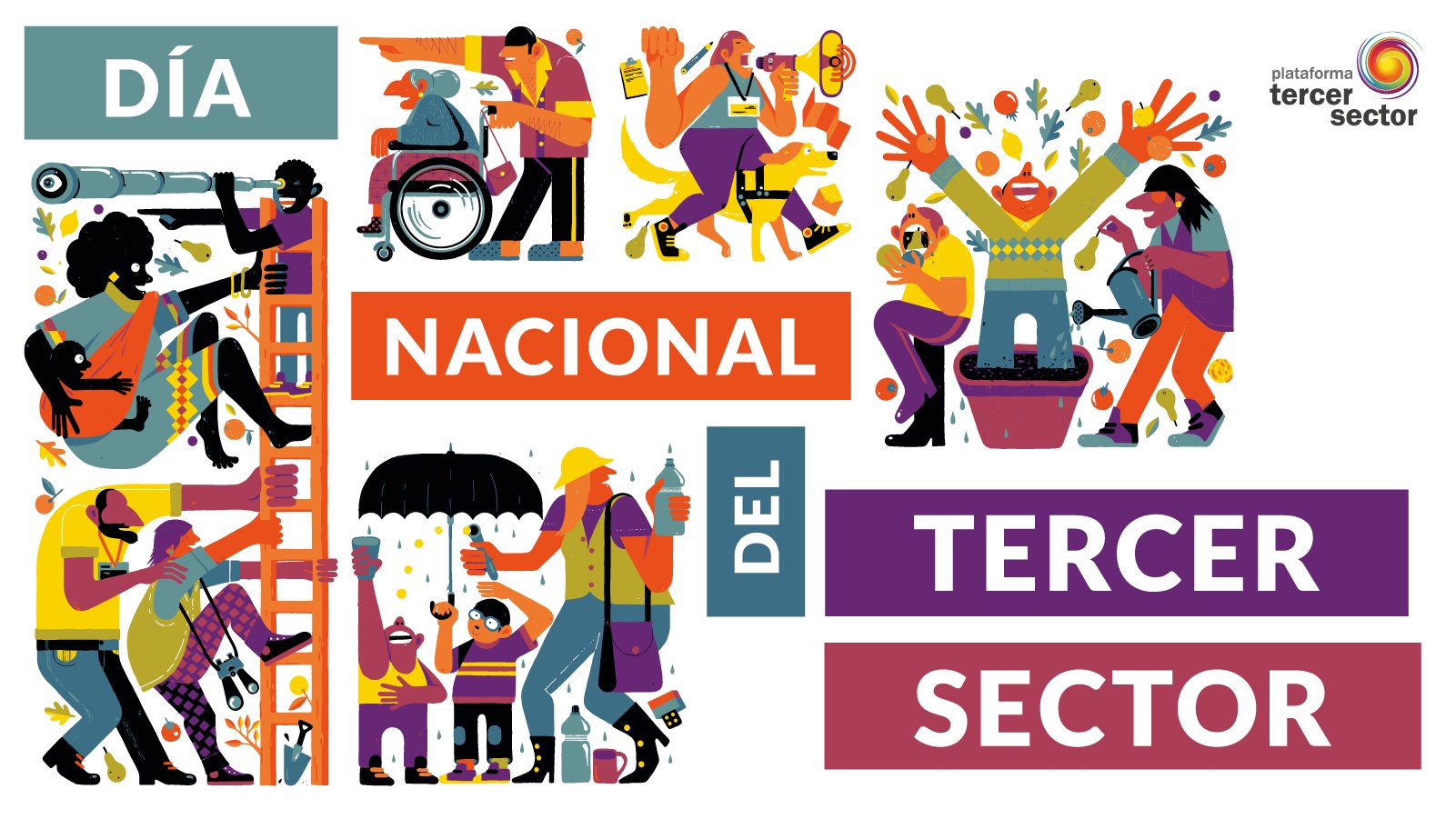 Día Nacional del Tercer Sector